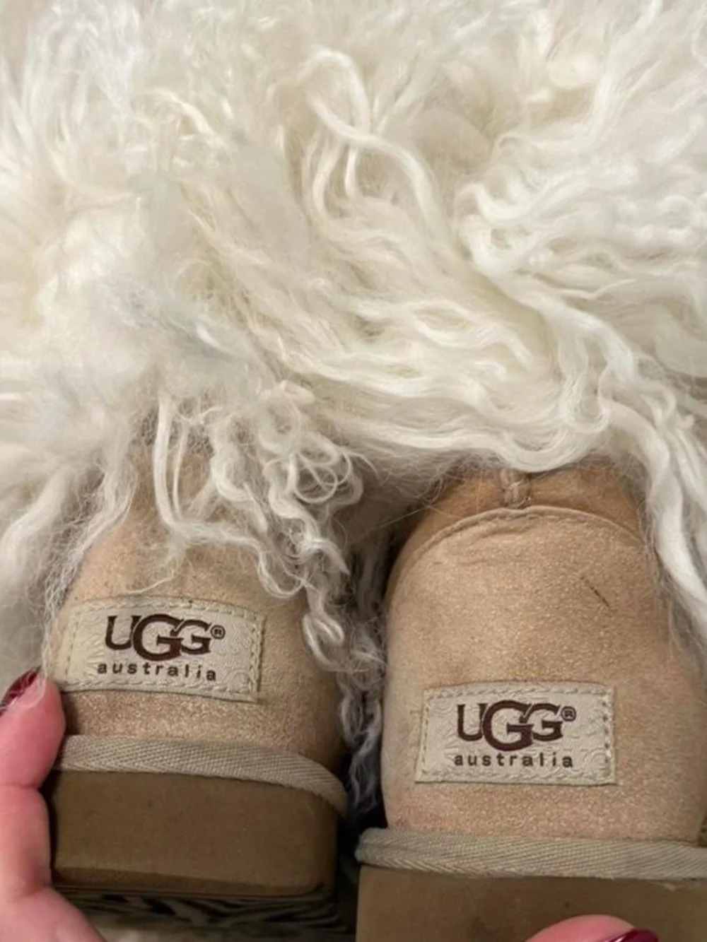 UGG cream trim shearling